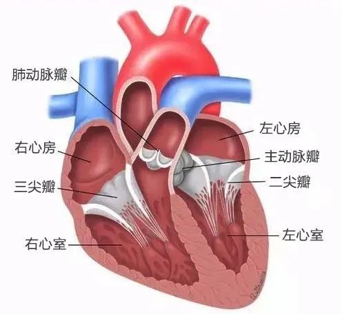 圖文圖片