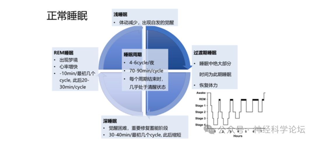 图文图片