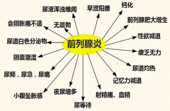 油菜花粉前列腺炎用量_油菜花粉前列腺炎克星_油菜花粉治疗前列腺炎