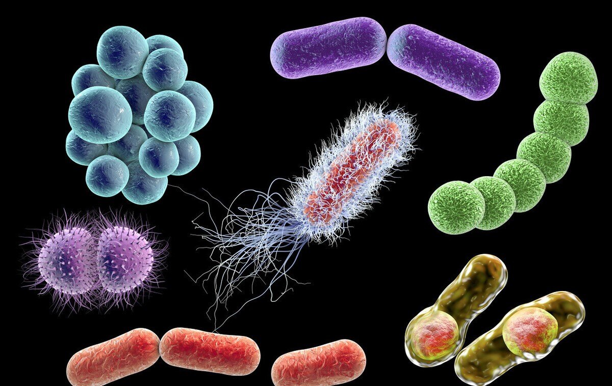 便宜药也能治疗耐药菌感染,肺癌老人肺部感染治疗困难