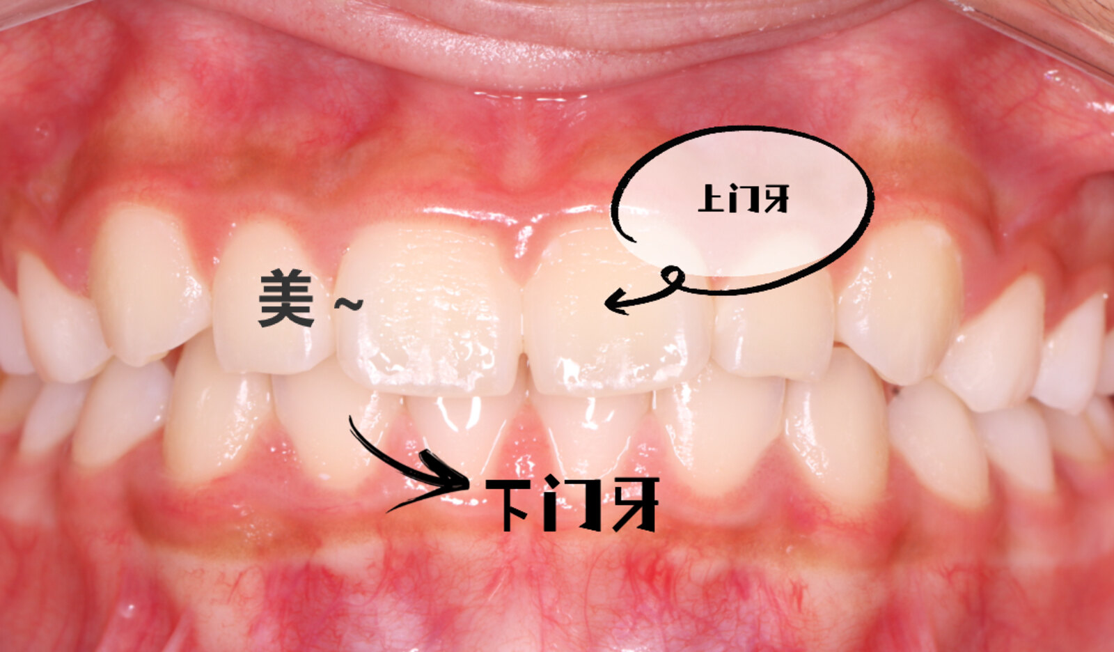 好大夫在线