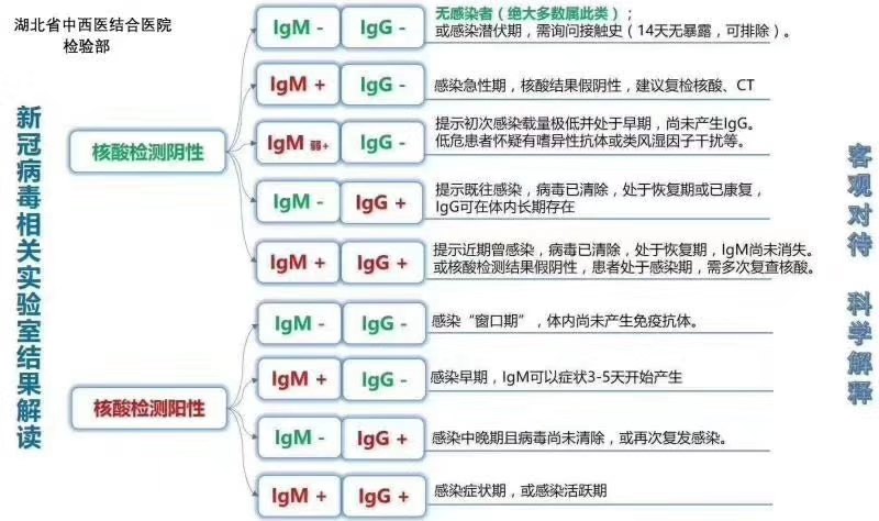 新冠肺炎核酸和抗體檢測結果解讀