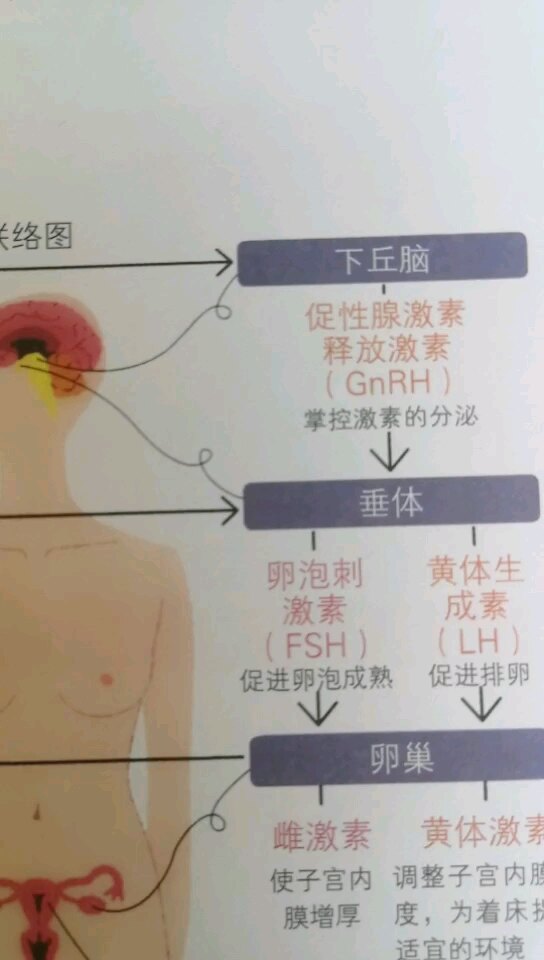 默认图片