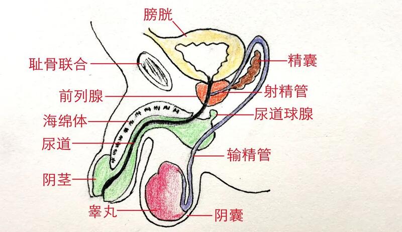 圖文圖片