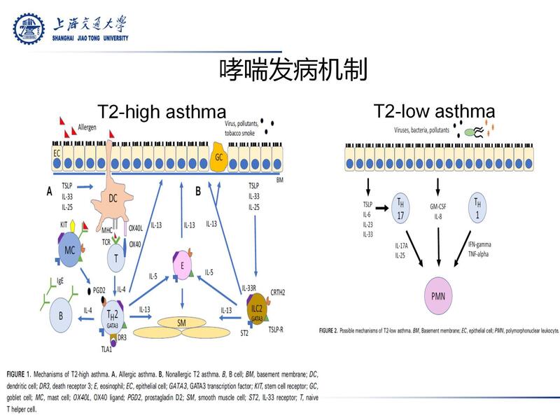 哮喘靶向药物治疗进展2024 李锋_06.jpg
