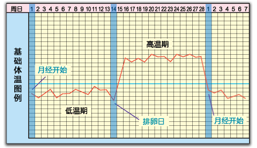 图文图片