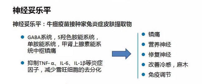 图文图片