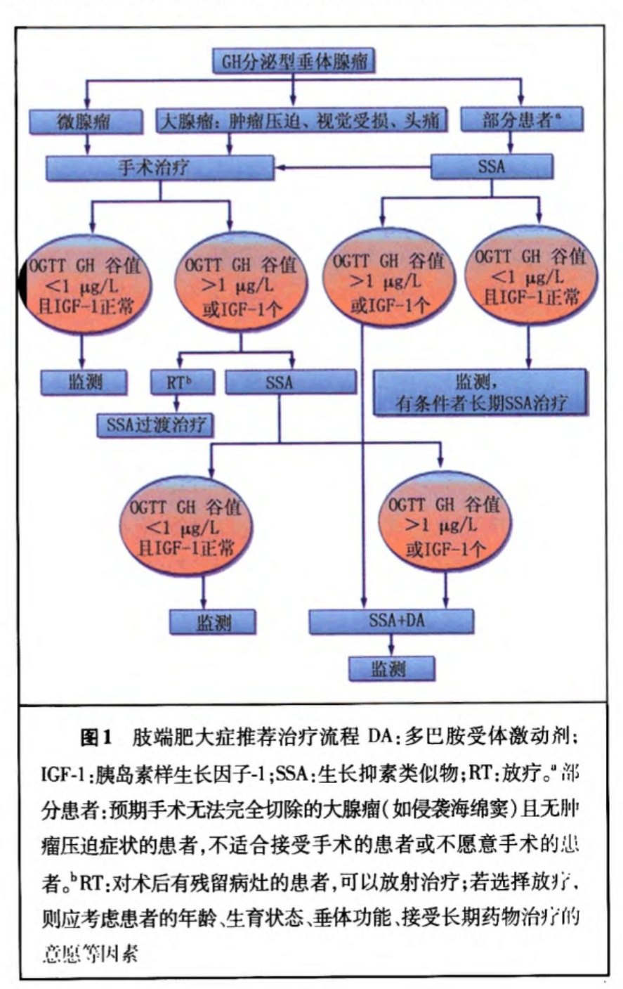 垂体瘤之肢端肥大症生长激素腺瘤