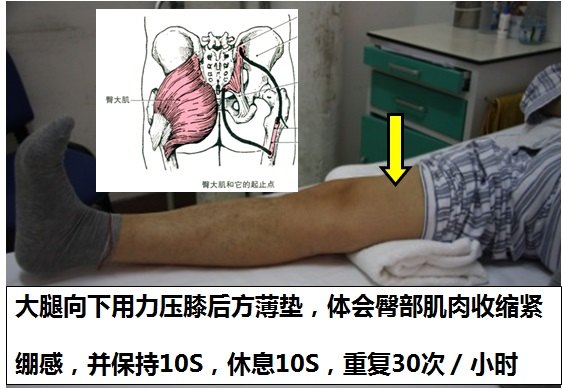 臀大肌等長收縮(訓練要求同上)