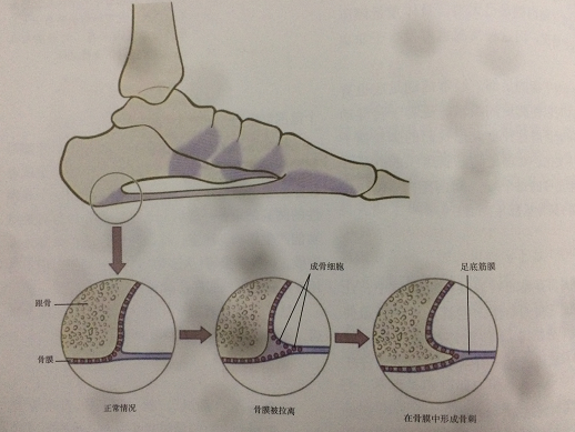 《解剖列車》中關於