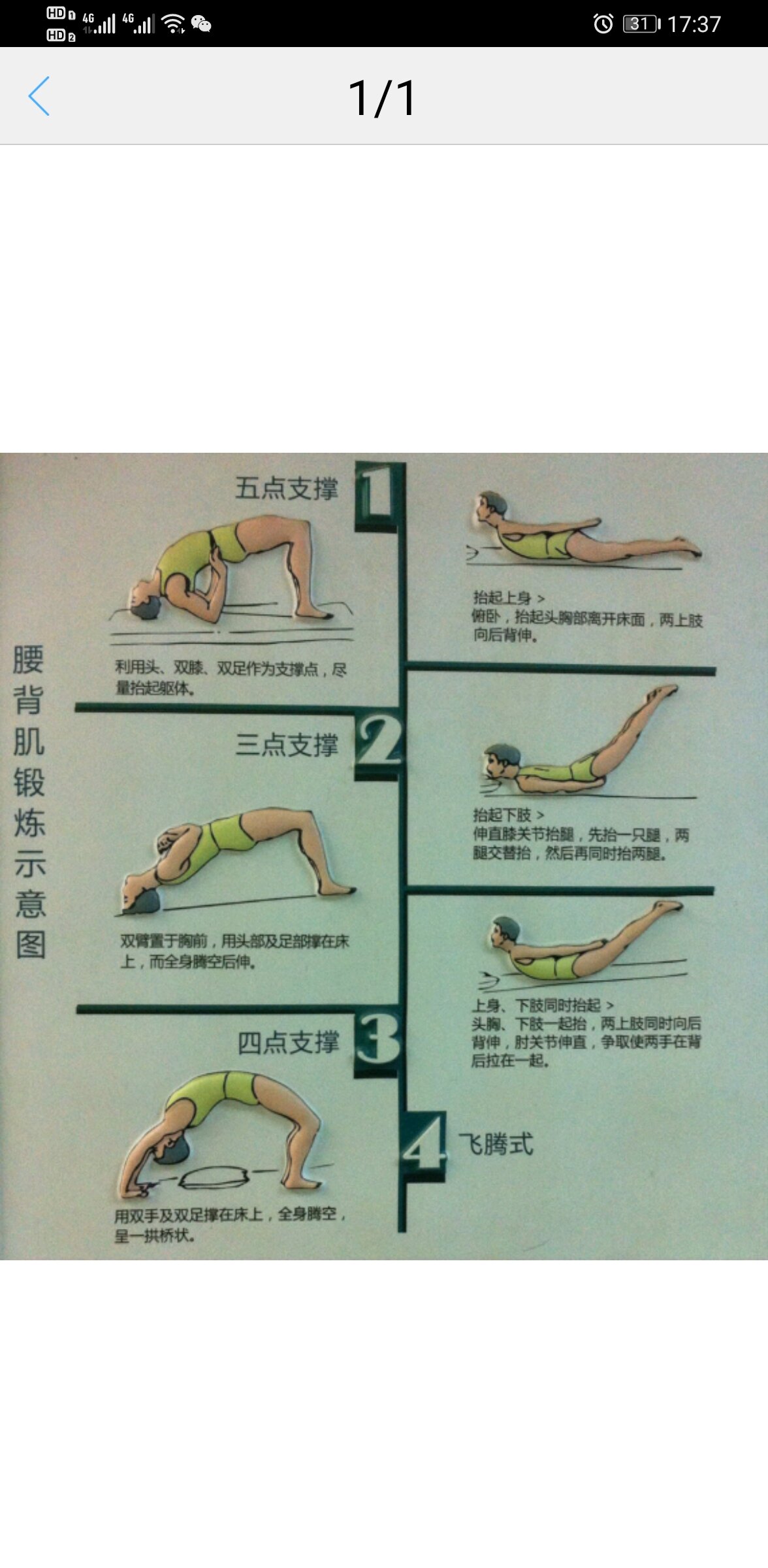 腰背肌肉锻炼示意图
