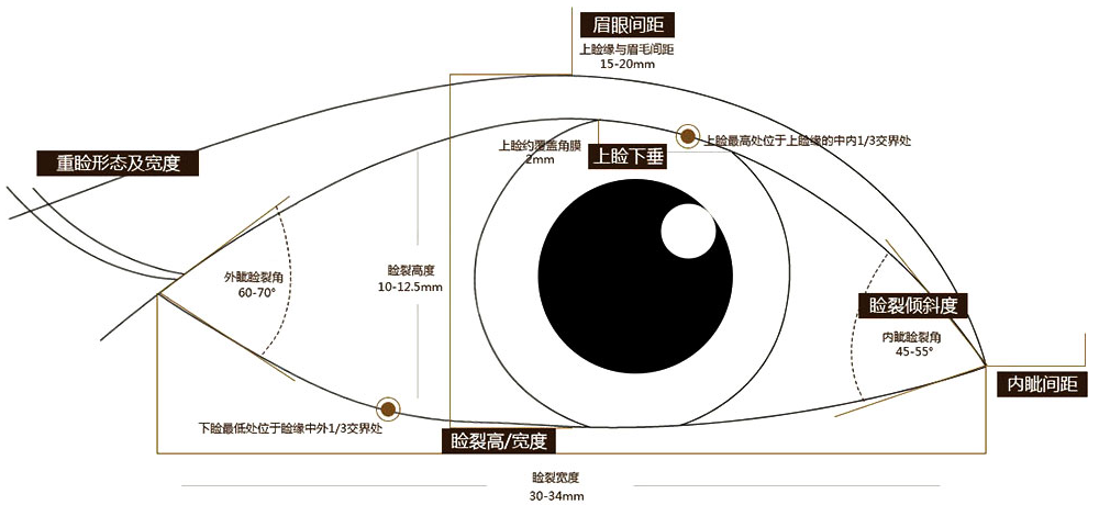 眼部美学:埋线双眼皮的效果如何?