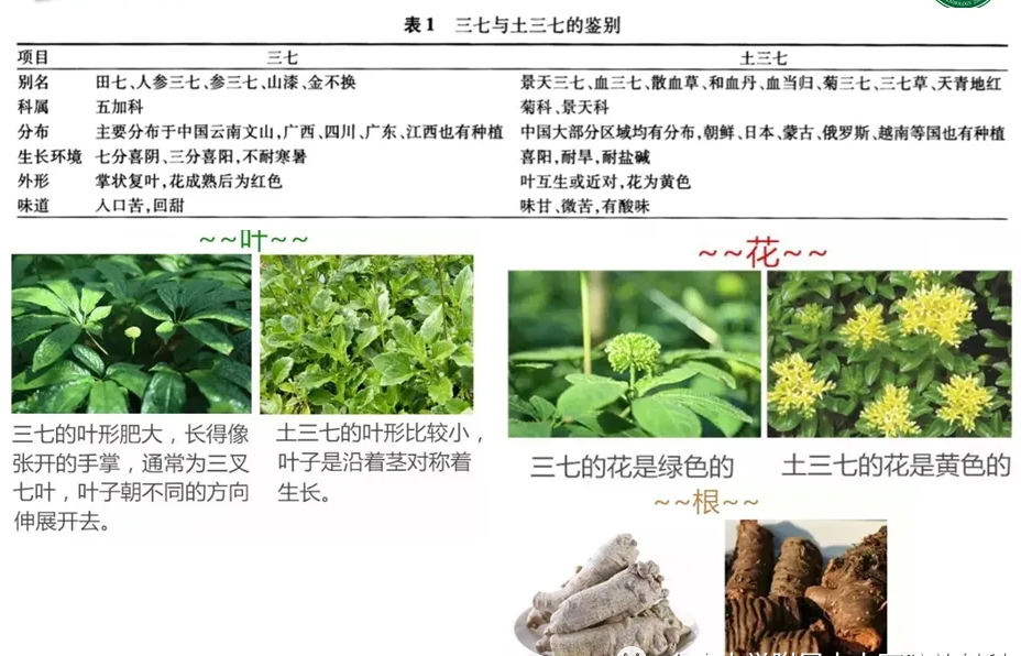 圖文圖片