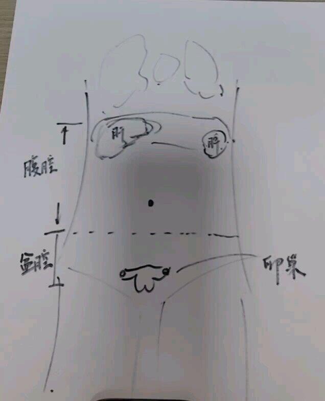 視頻封面