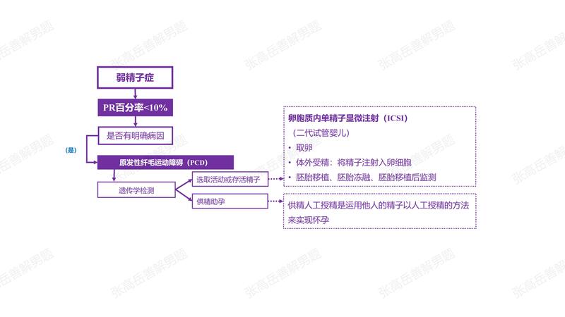 男性不育：弱精子症（PCD）.jpg