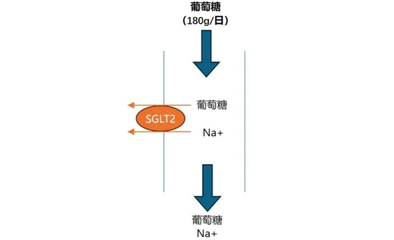 圖文圖片
