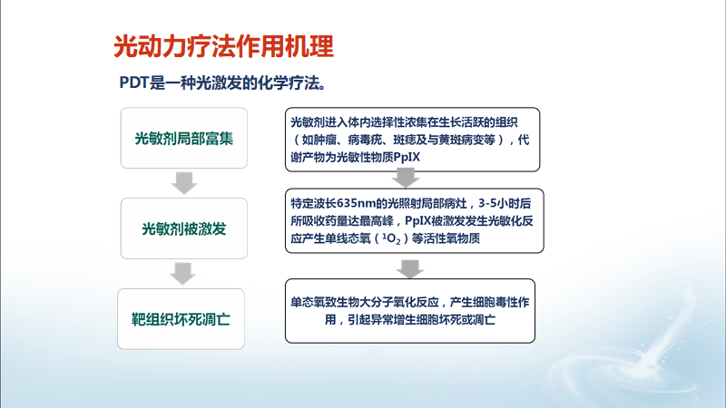 外阴白斑外阴硬化性苔藓光动力治疗病例