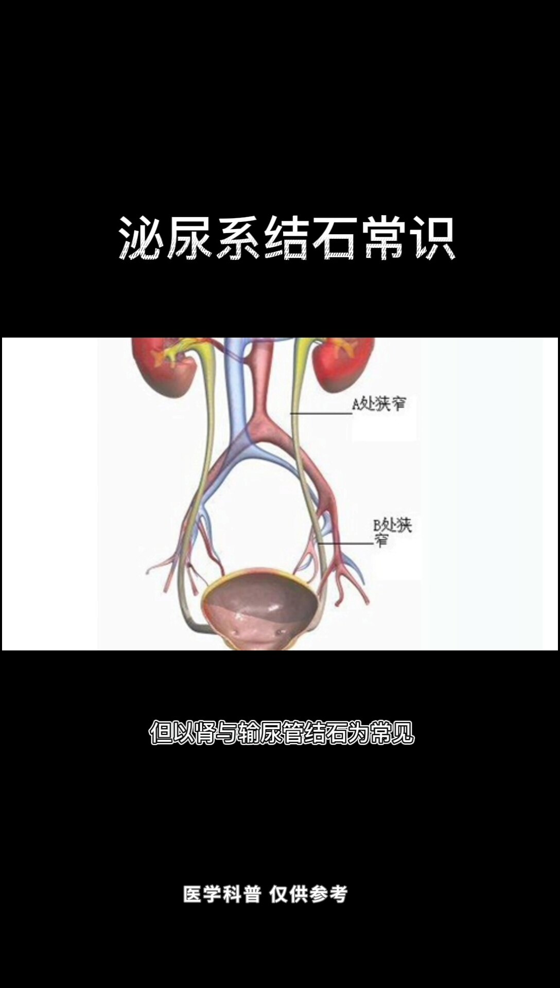 默认图片