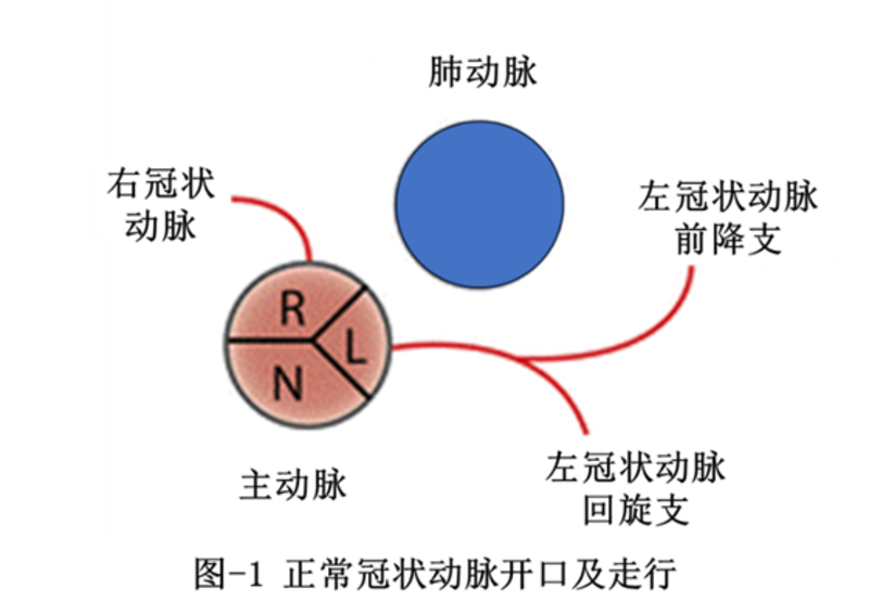 图文图片