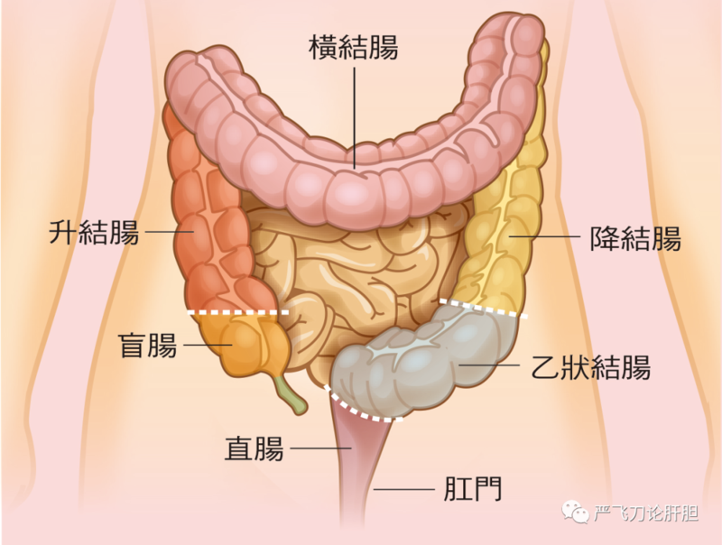 圖文圖片