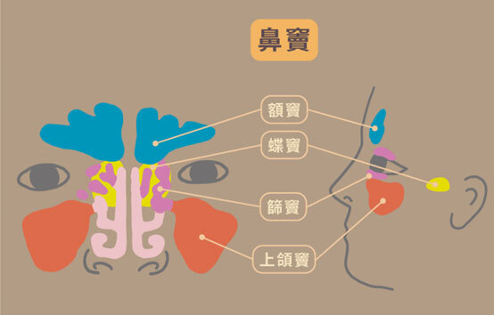 圖文圖片