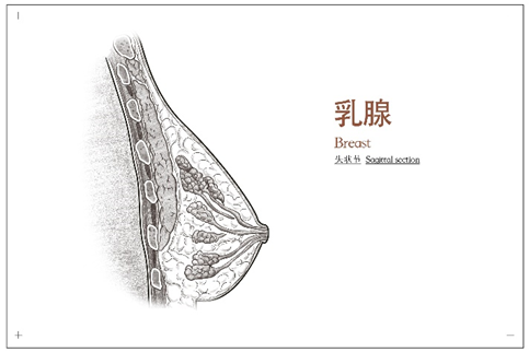 圖文圖片