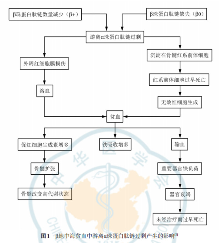 圖文圖片