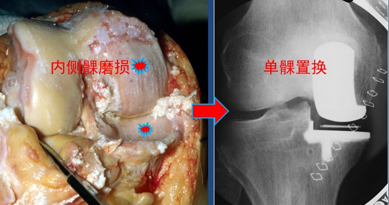 1680448735929887.jpg 1680448735929887.jpg