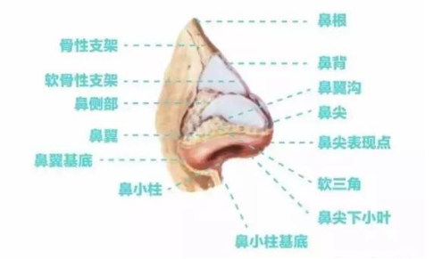 图文图片