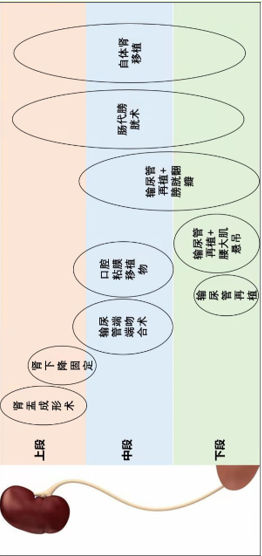 圖文圖片