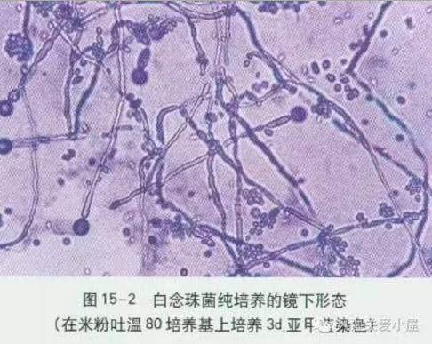 新疆大学医科教育网官网_新疆大学医科教育网登录_新疆医科大学教育网