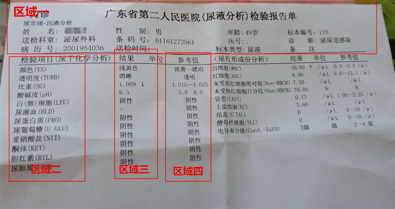 尿检图片结果分析图片