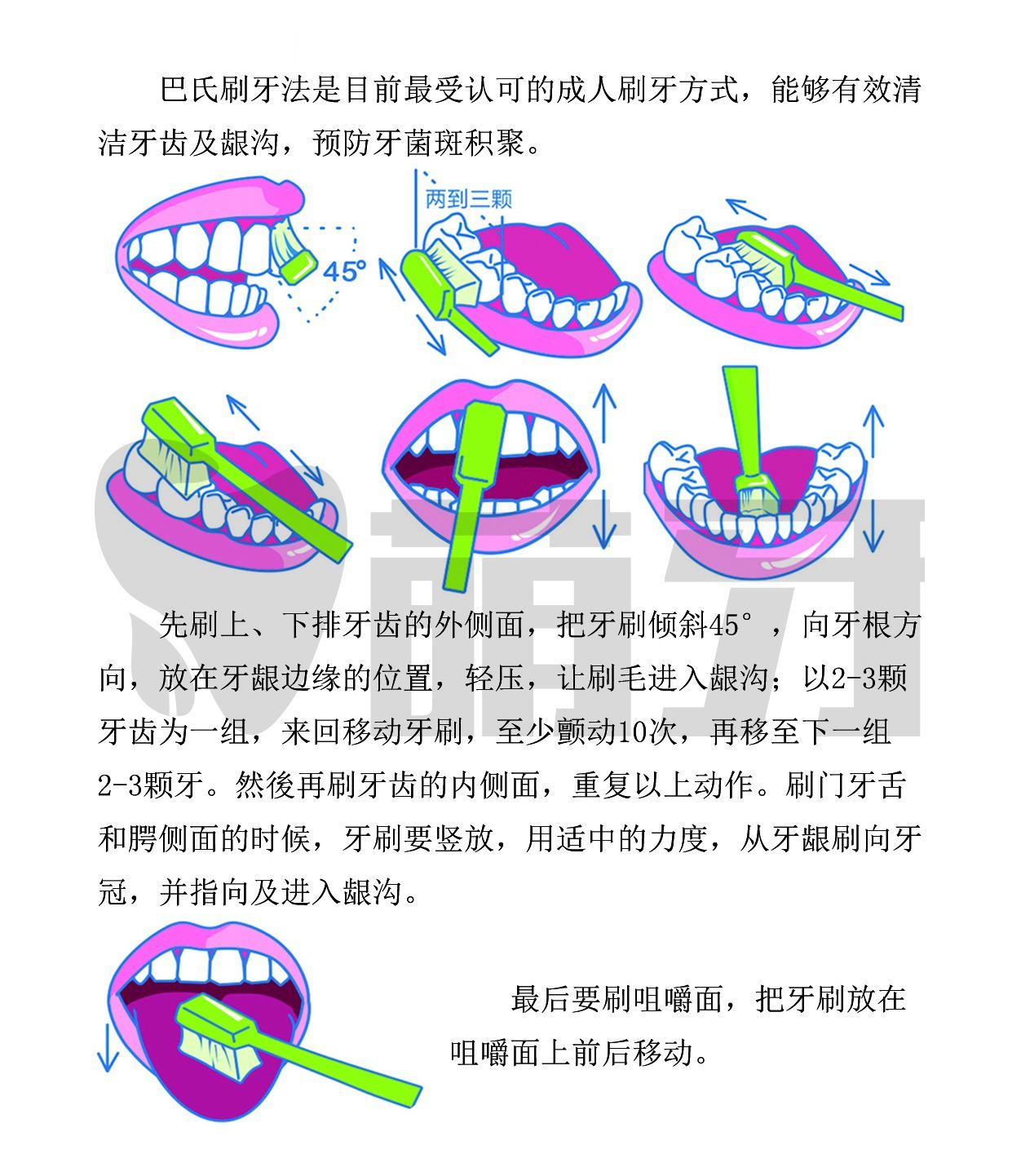 html培养起认真的刷牙习惯及正确的刷牙方法,可是让孩子