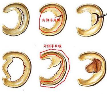 暂无