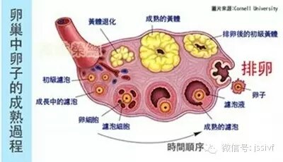 暂无