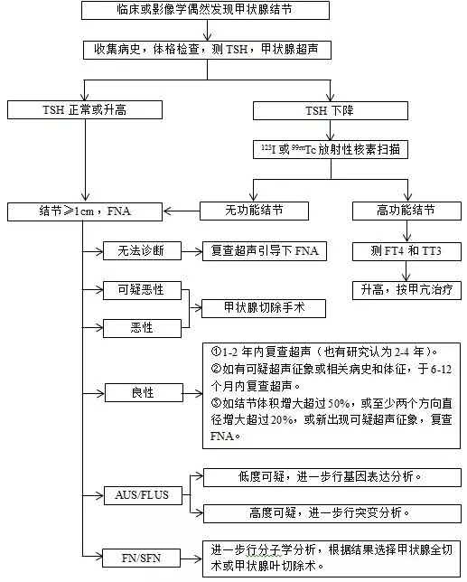 一目了然-甲状腺结节诊疗流程图