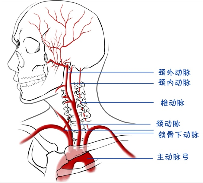 不要