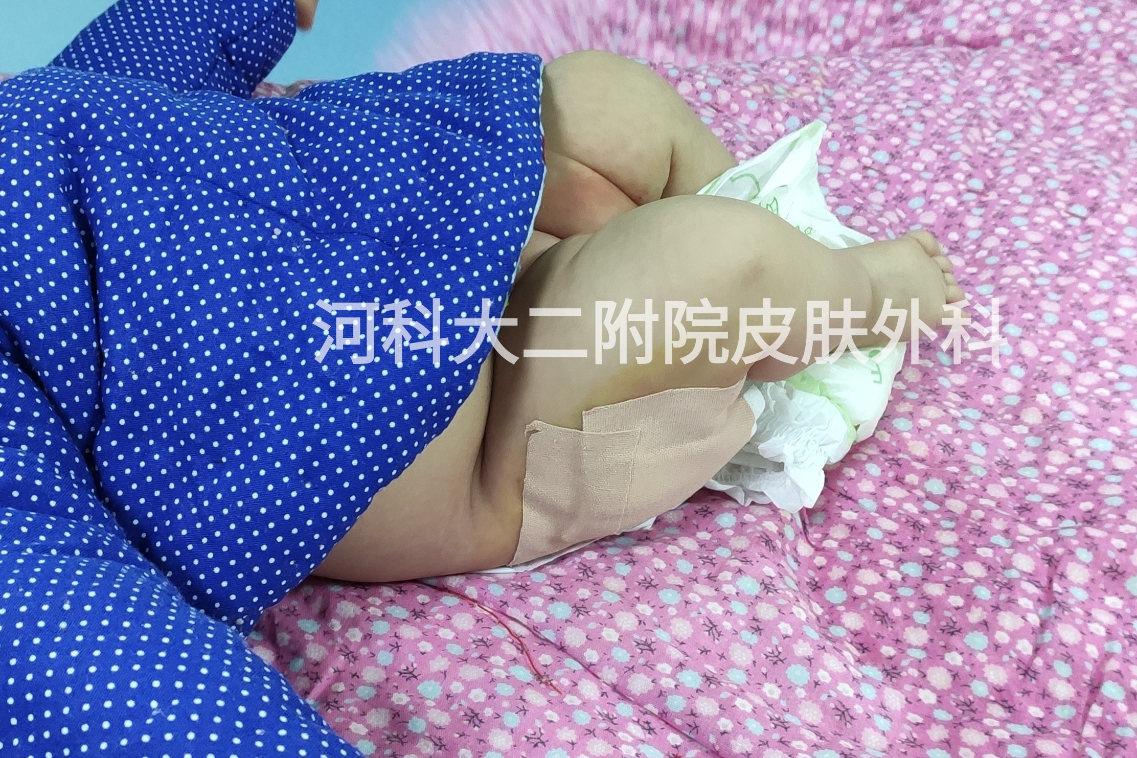 暂无