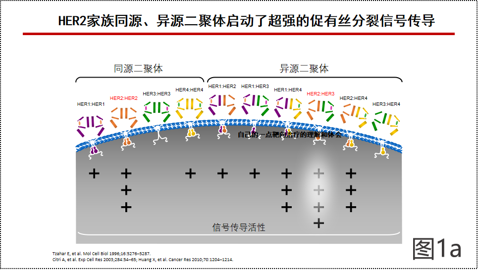 图片1-1.png