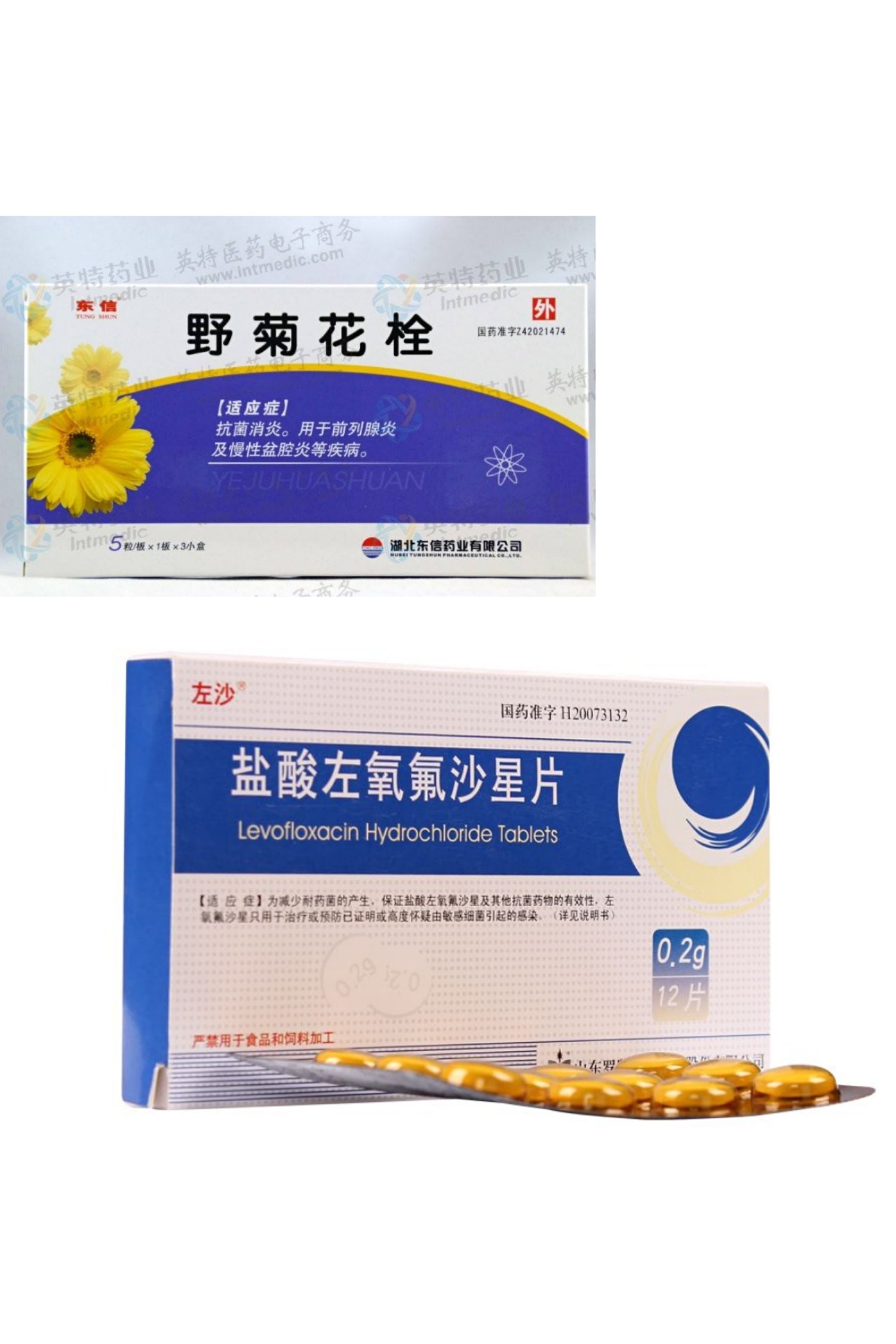 野菊花栓治疗前列腺炎图片