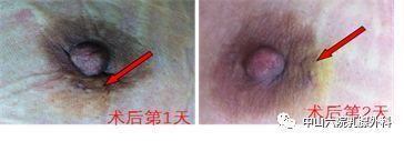 暂无