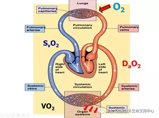 图示ecmo的功能原理 - 好大夫在线