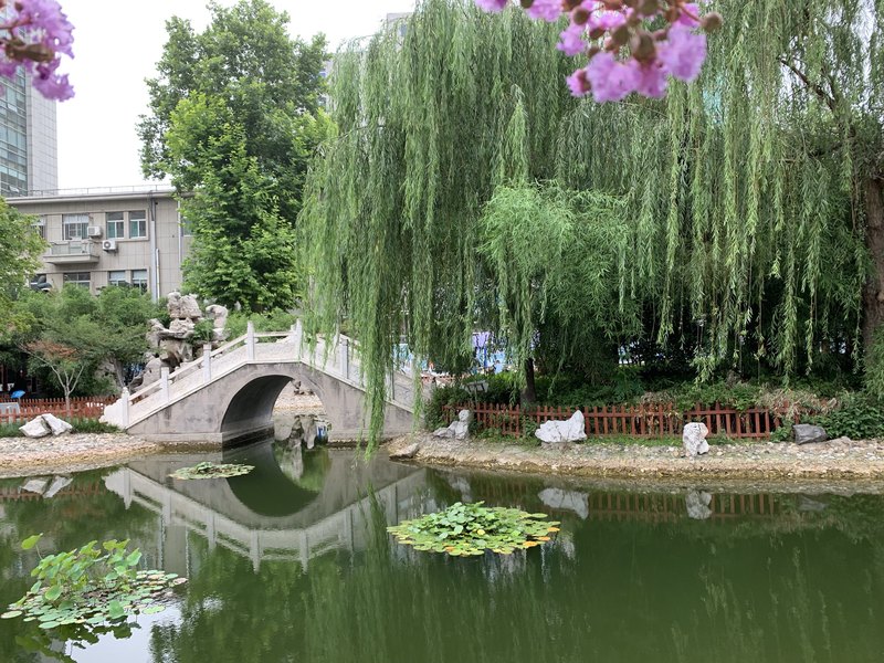 圖文圖片