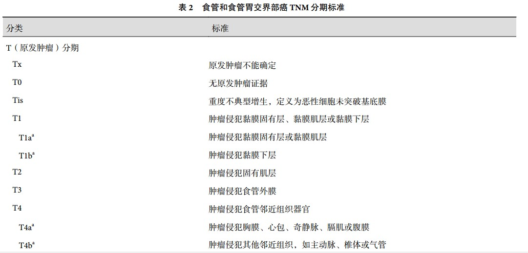 第八版食管癌tnm分期图图片