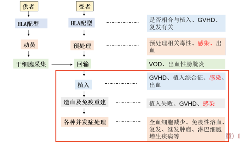 圖文圖片