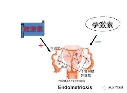 圖文圖片
