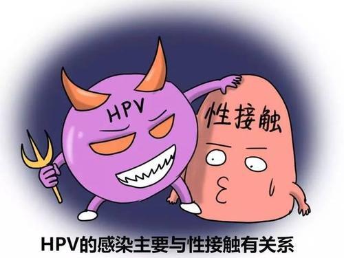 尖銳溼疣臨床治癒並不代表沒有病毒了