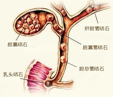 圖文圖片