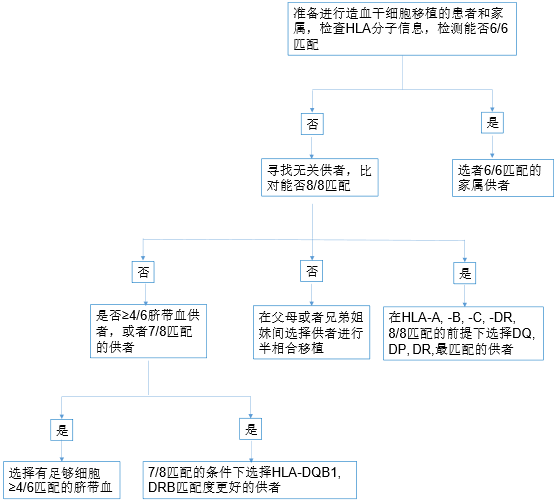 简述造血干细胞移植 骨髓移植