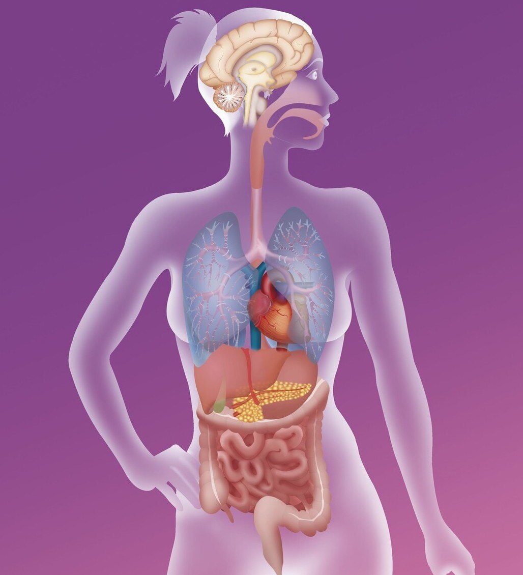 已经做了胃肠镜检查为什么还要去活检